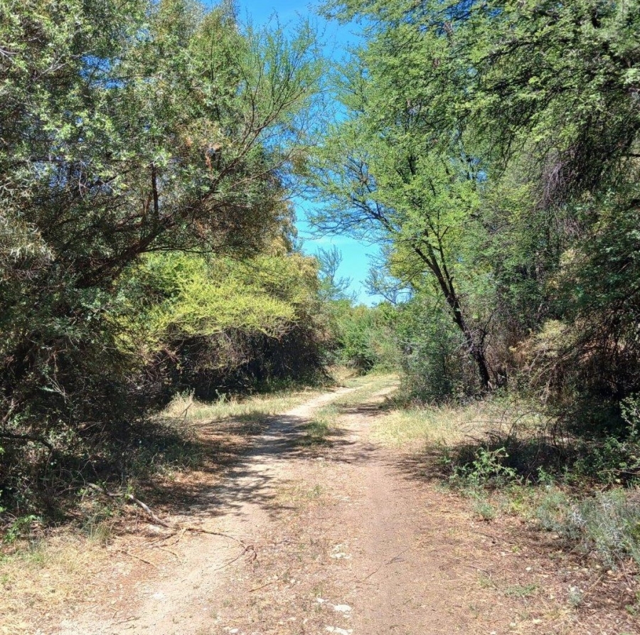 Commercial Property for Sale in Barkly West Rural Northern Cape